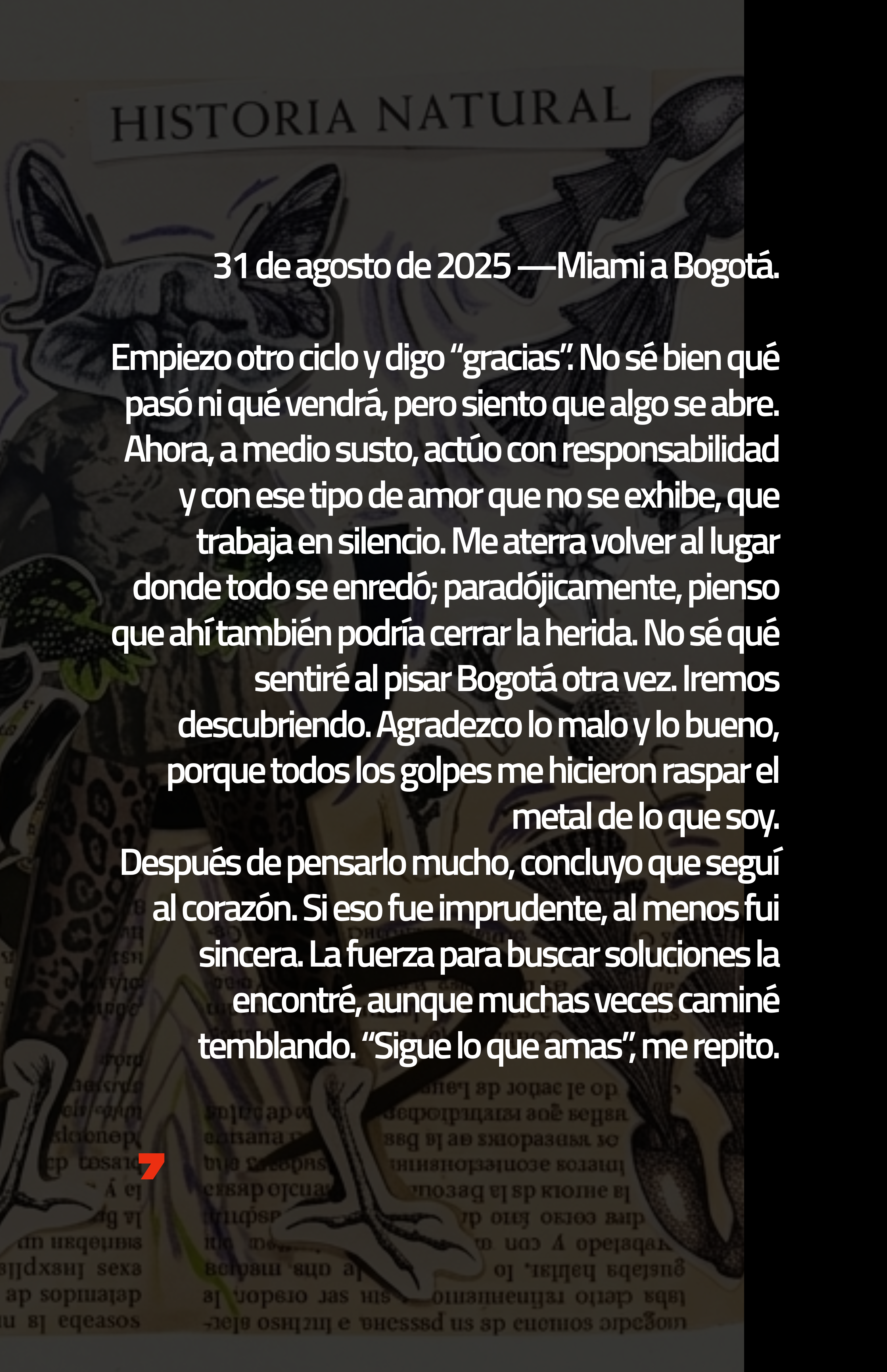 Página 12 del fanzine